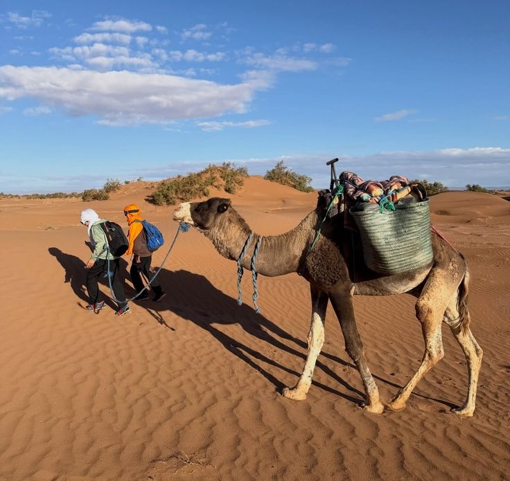 Mhamid Sahara Reise