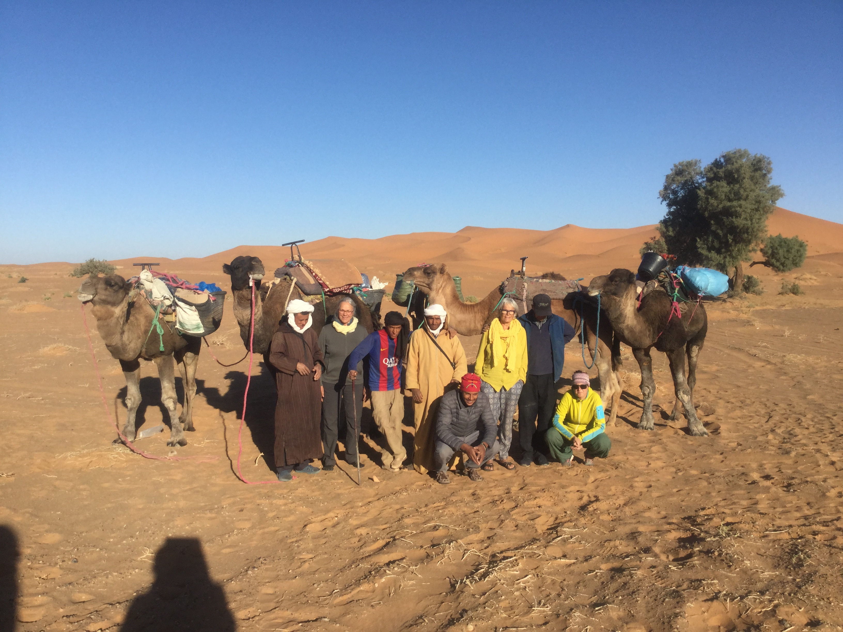 Zauberhafte Reise in die Sahara  
