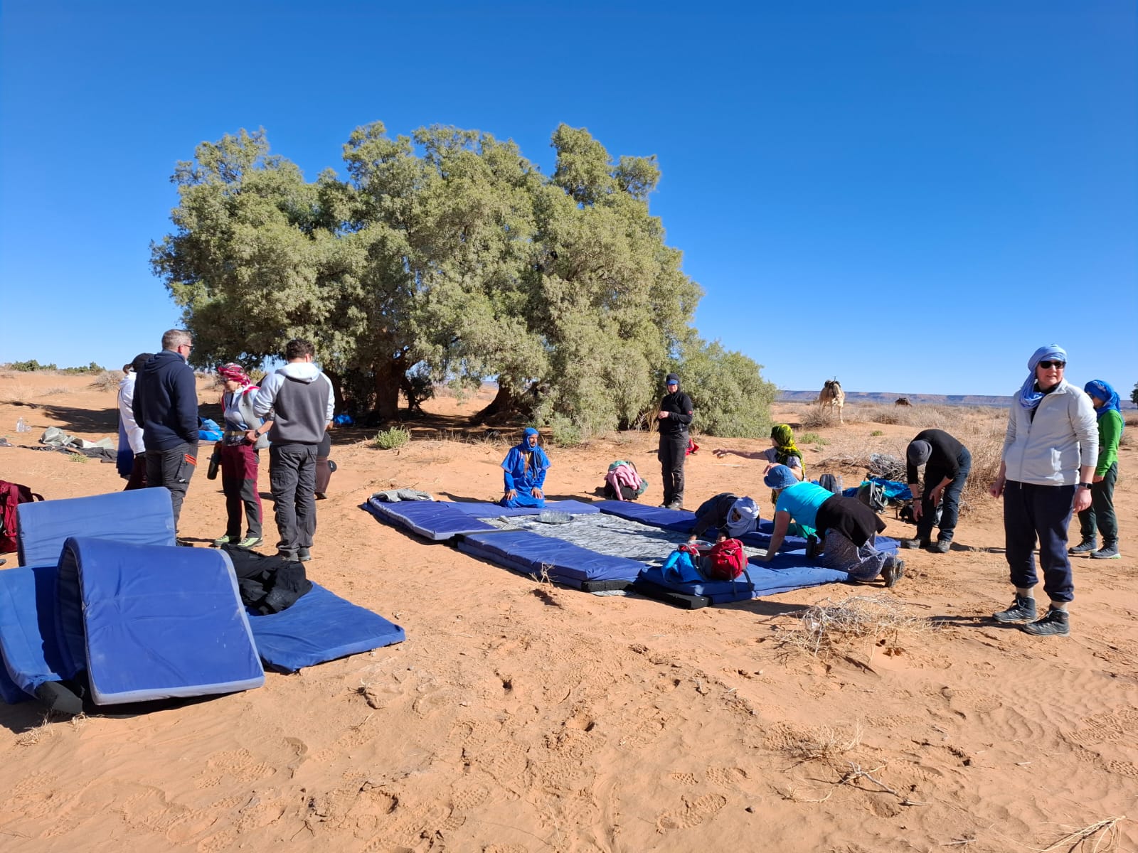 Zauberhafte Reise in die Sahara 